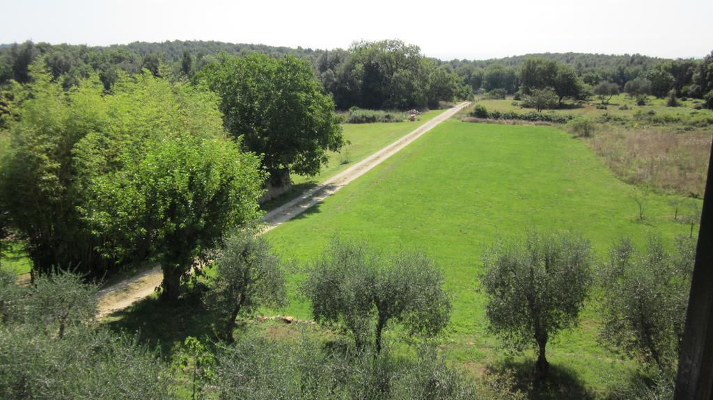 Ferienwohnung La Locaia Siena Exterior foto